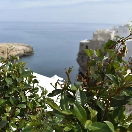 ベッド・アンド・ブレックファスト Prestige