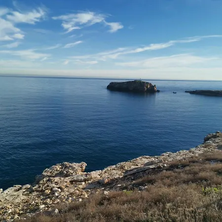 B&B Prestige 폴리나노 아마레