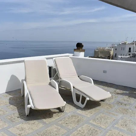 Prestige B&B 폴리나노 아마레